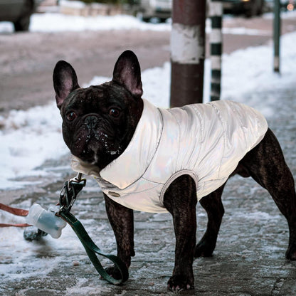 Hunde Wintermantel wasserdicht & winddicht – warm & bequem (Silber, S)