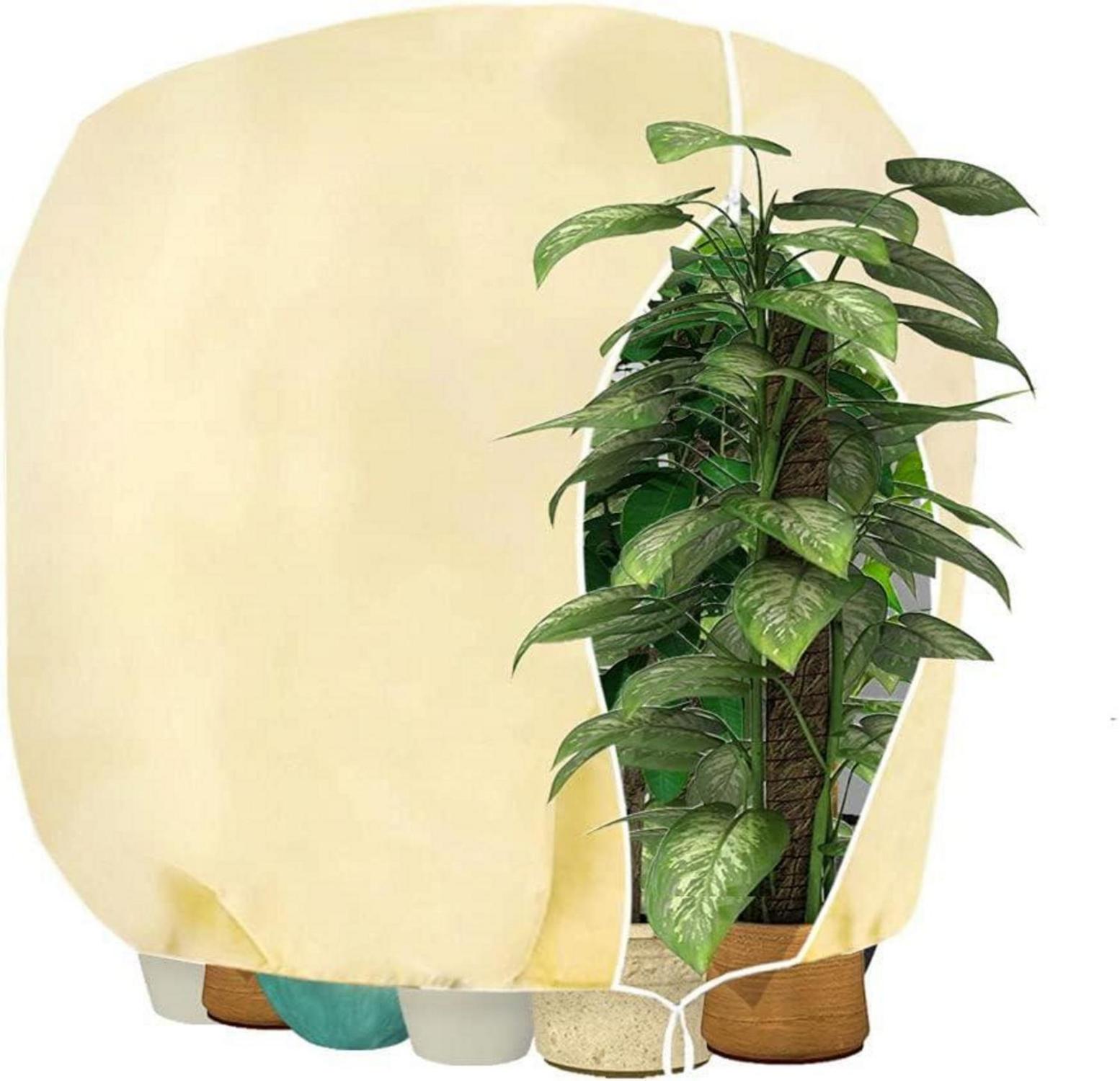 Winterschutz Frostschutz Pflanzenabdeckung 190x220cm beige