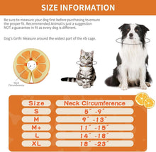 IEUUMLER Aufblasbare Halskrause Hund Katze Leckschutz Bequem