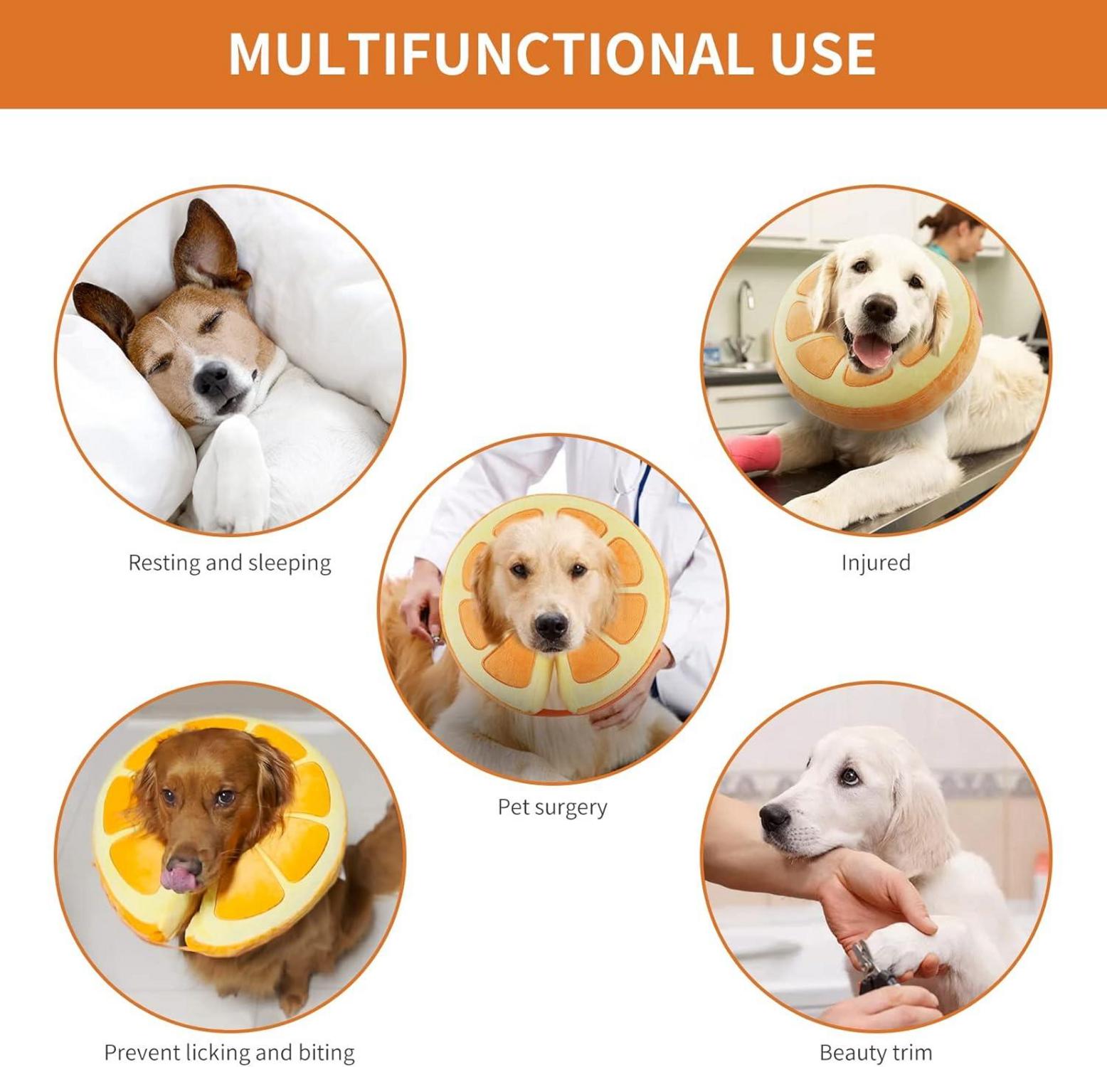 Aufblasbare Halskrause Hund Leckschutz Einstellbar Bequem EU004 Orange