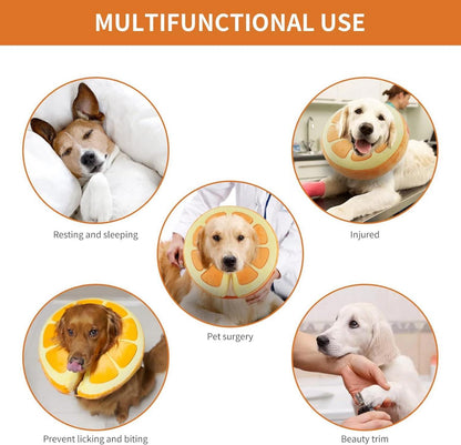 Aufblasbare Halskrause Hund Leckschutz Einstellbar Bequem EU004 Orange