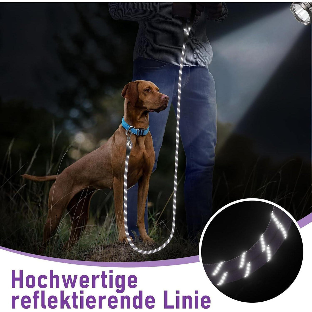 Schleppleine für Hunde, 10m, mit abschließbarem Karabiner, gepolsterter Griff