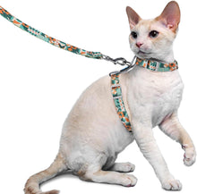Ausbruchsicheres Katzengeschirr und Leine für