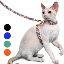Ausbruchsicheres Katzengeschirr und Leine für