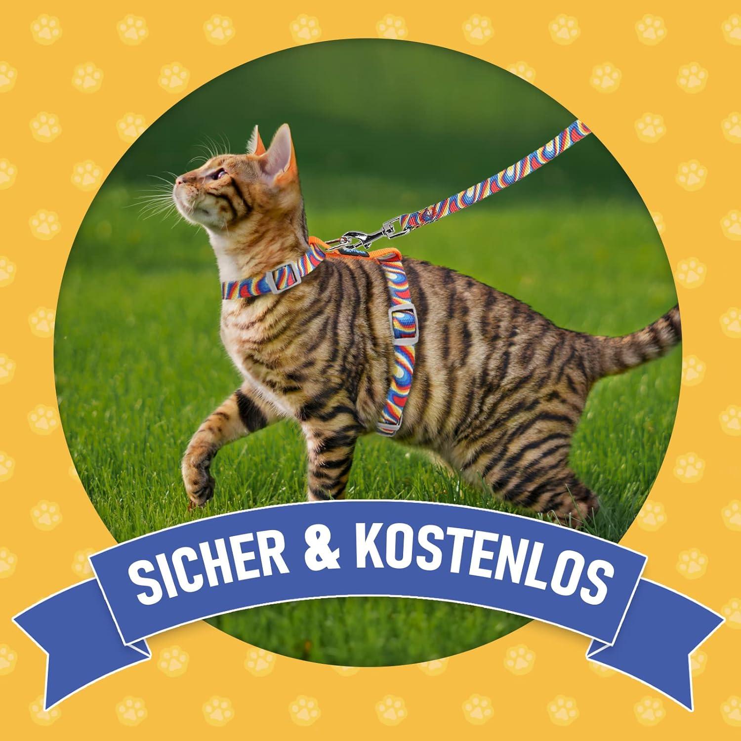 Supet Katzengeschirr und Leine verstellbar in orange für Katzen