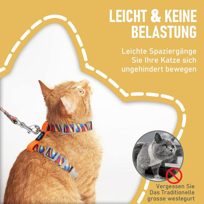 Katzenweste und Leine ausbruchsicher verstellbar Orange M
