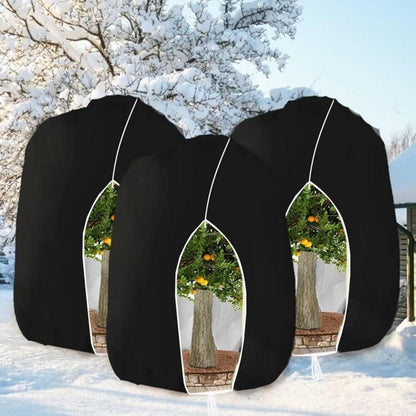 Winterschutz Pflanzenabdeckung 250x360cm - 3er Set