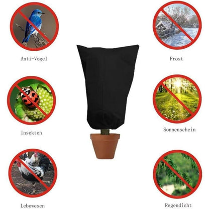 Winterschutz Pflanzenabdeckung 250x360cm - 3er Set