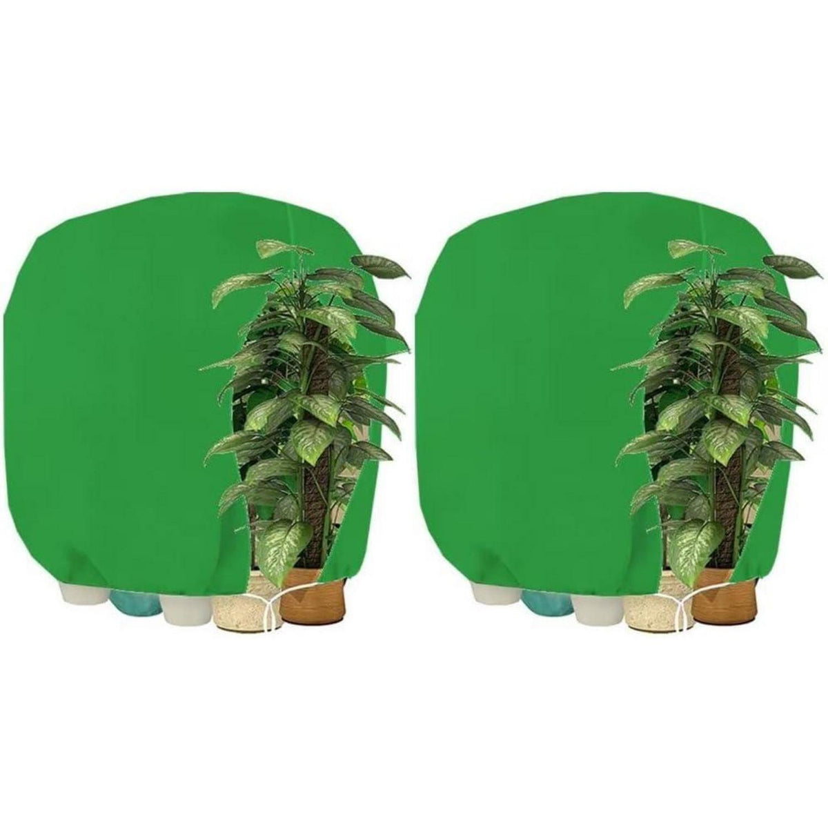 Winterschutz Pflanzenabdeckung 200x240cm - 2er Set