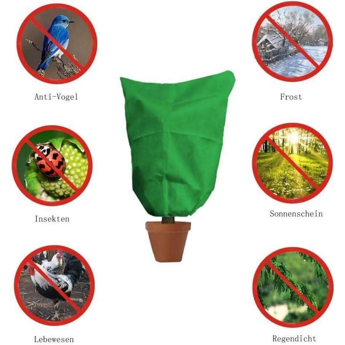 Winterschutz Pflanzenabdeckung 200x240cm - 2er Set