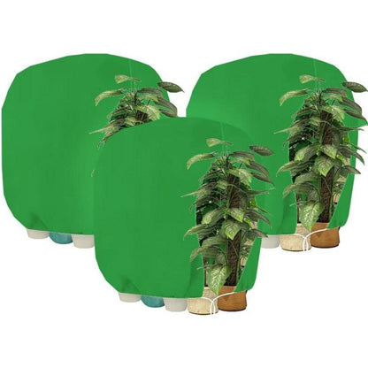 Winterschutz Pflanzenabdeckung 200x240cm - 3er Set