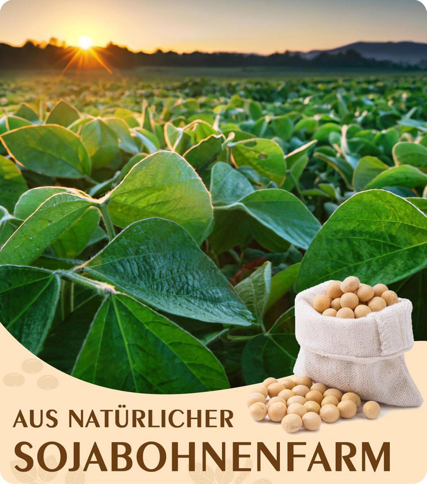 100% natürliches Sojawachs für Kerzenherstellung