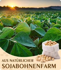 100% natürliches Sojawachs für Kerzenherstellung
