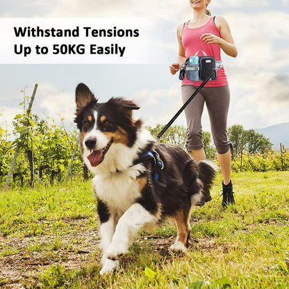 Joggingleine mit Bauchgurt für große mittelgroße Hunde blau 124-180cm