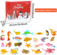 Meereslebewesen Adventskalender Kinder 2023, 24 Stück