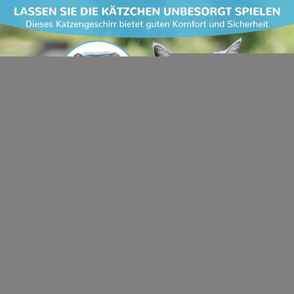 Ausbruchsicheres Katzengeschirr mit Leine, Grau L