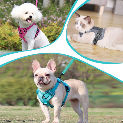 Verstellbares Katzengeschirr Ausbruchsicher mit Leine Set