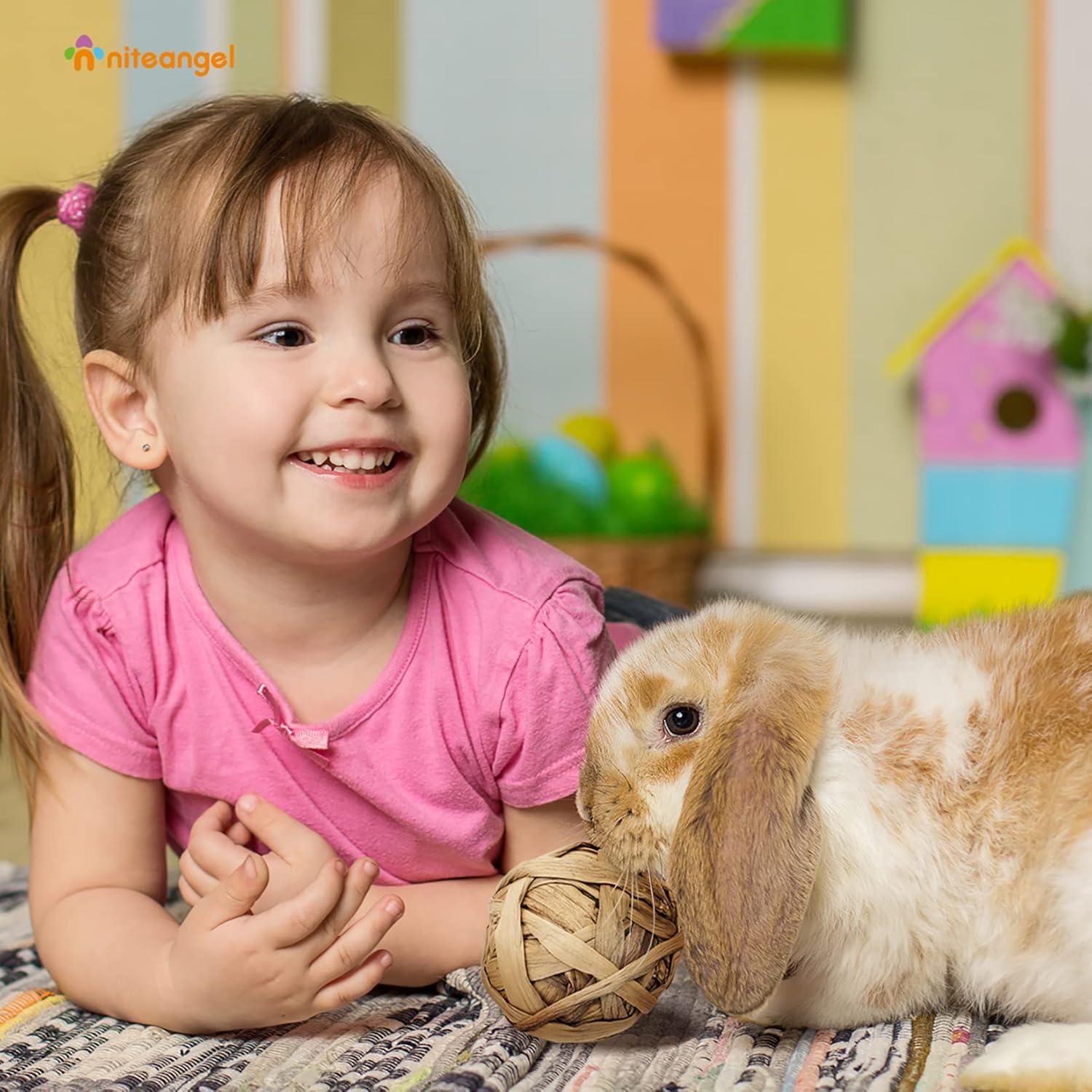 Natürliches Kauspielzeug für Kleintiere (8