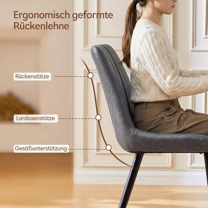 Esszimmerstühle Set 4er Grau | Ergonomisch & Robust in Lederoptik