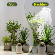 2 Stück Premium Pflanzenlampe LED Grow Lampe Vollspektrum