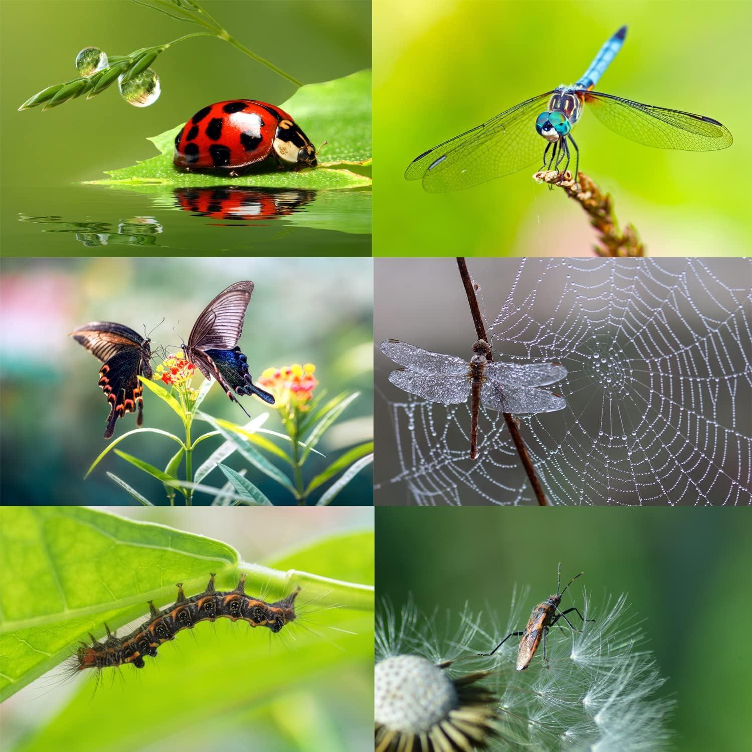 Makro-Objektiv 75mm HD-Objektiv Detail Nahaufnahme Clip-Etui