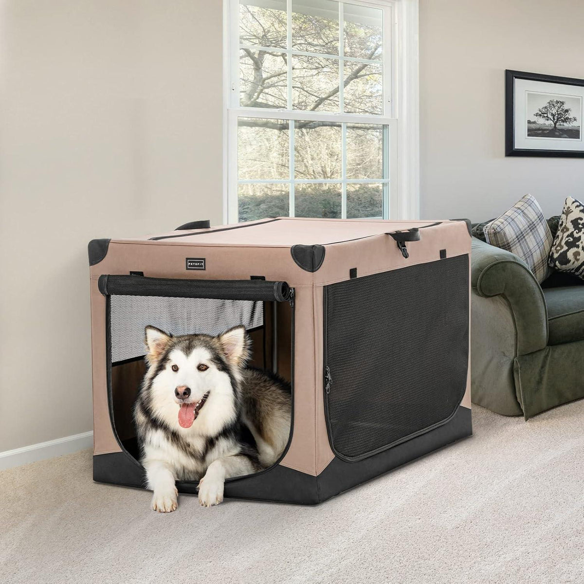 Faltbare Hundebox mit Stoffbezug – Sicher & Komfortabel für Reisen