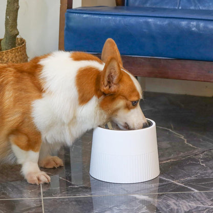 Erhöhter Futternapf 400ml für Hunde Katzen Weiß mit Melamin Ständer