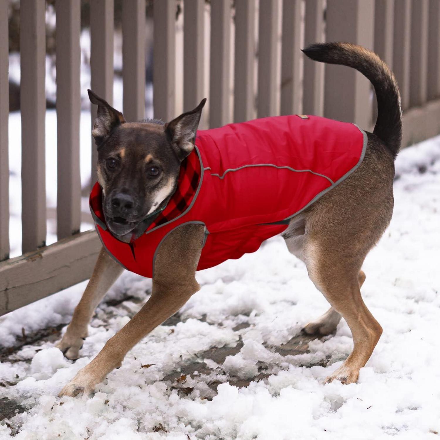 Hundemantel Winter Warme Jacke Winddicht Haustierbekleidung Rot XXL