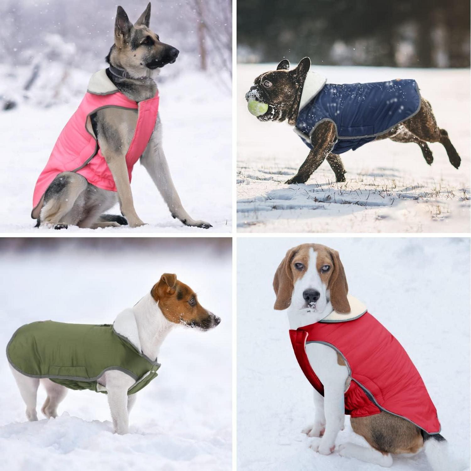Hundemantel Wasserdicht Fleece Winterjacke Chihuahua Bulldogge Marine M