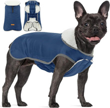 Winddichter Reflektierender Wintermantel für Kleine Hunde Outfit