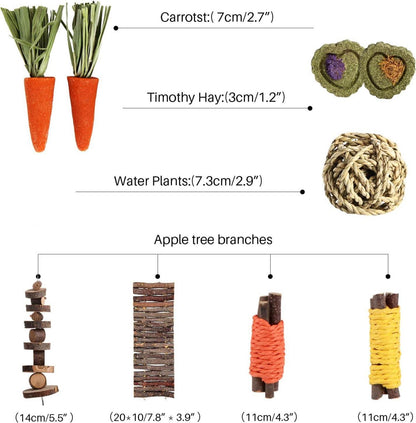 Hamster Kauspielzeug Set mit 9 Stück Natürliche