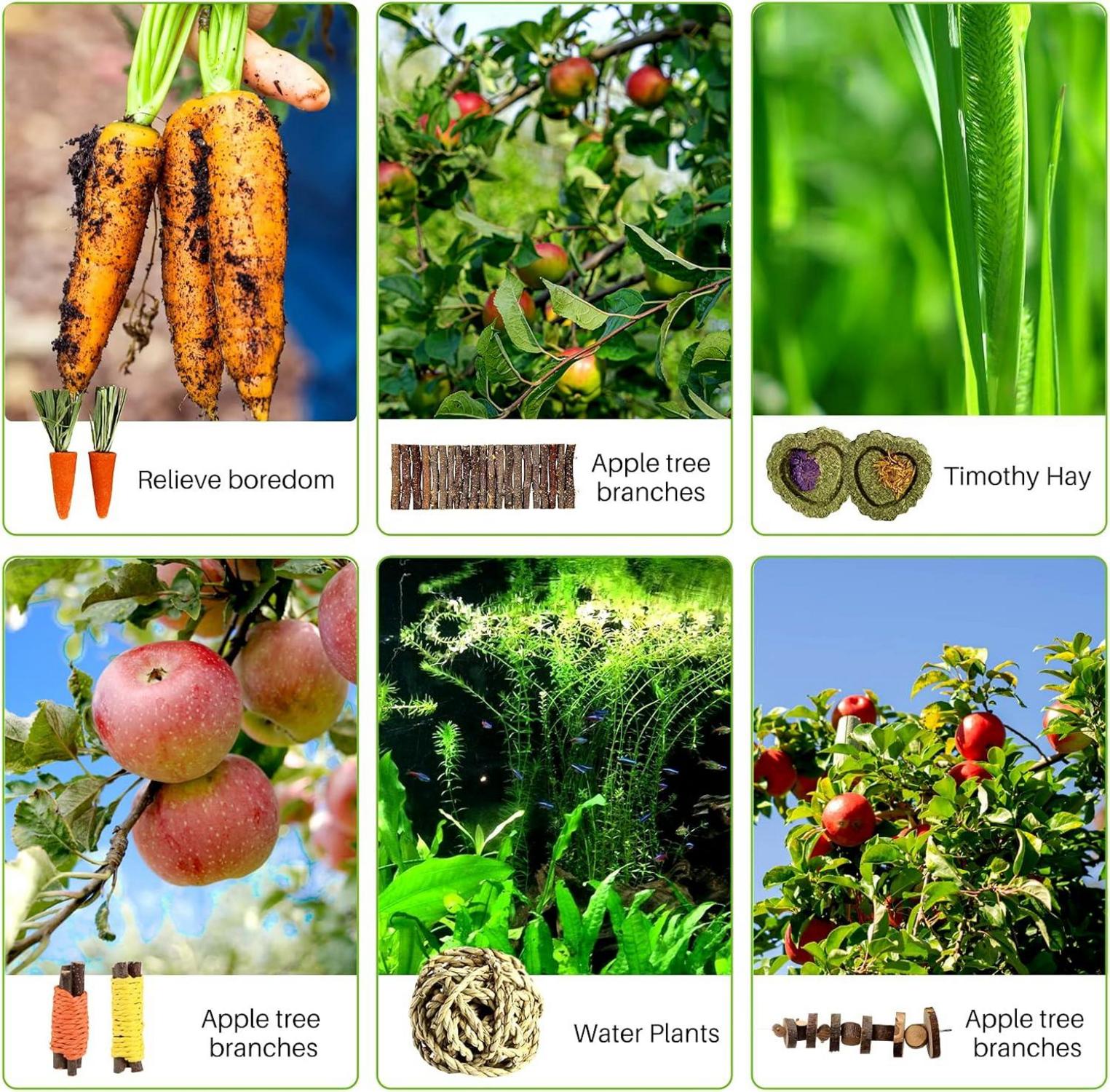 Hamster Kauspielzeug Set 9-teilig Holzbrücke Apfelstäbchen Karotte