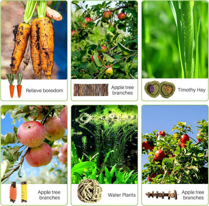 Hamster Kauspielzeug Set 9-teilig Holzbrücke Apfelstäbchen Karotte