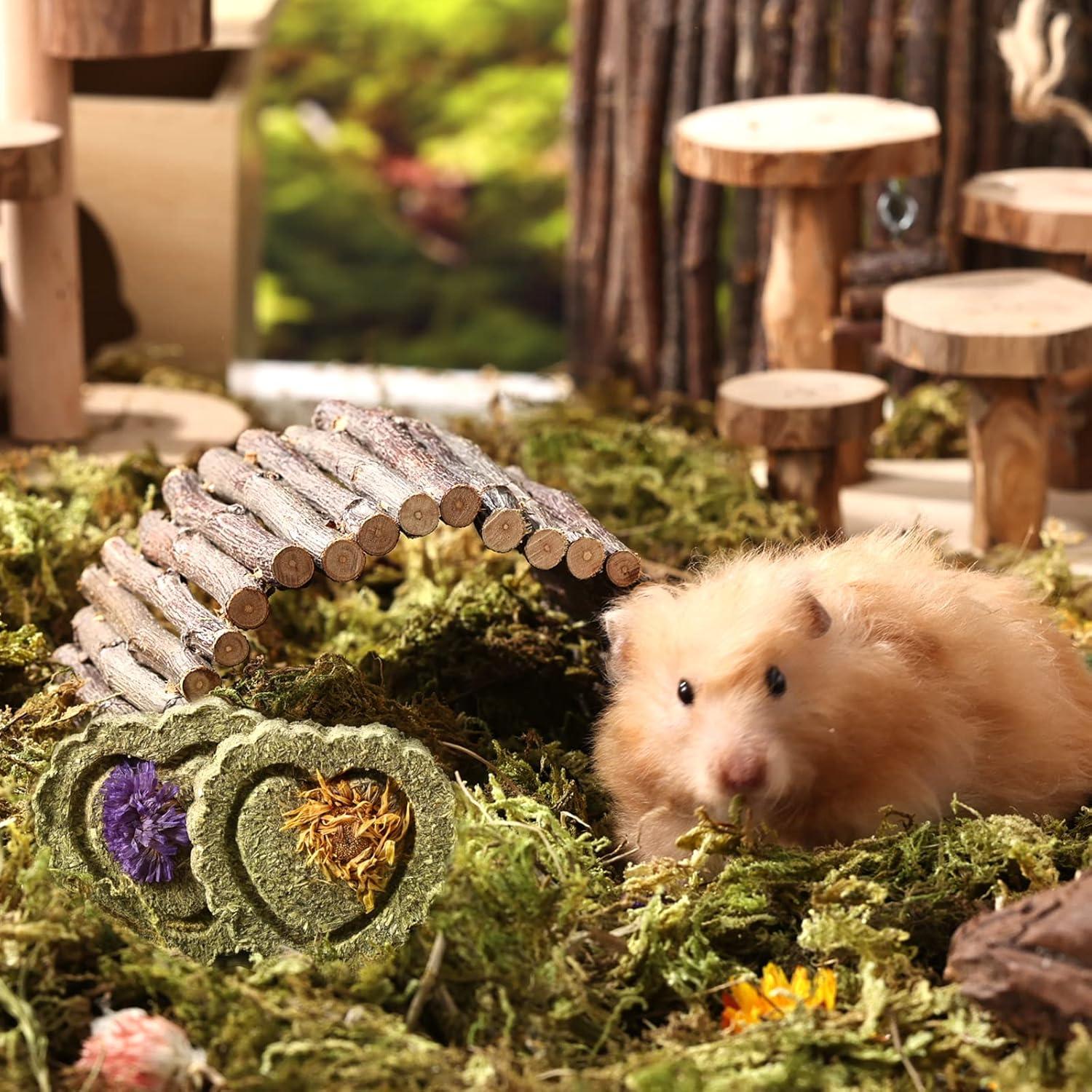 Hamster Kauspielzeug Set 9-teilig für Kaninchen, Chinchilla