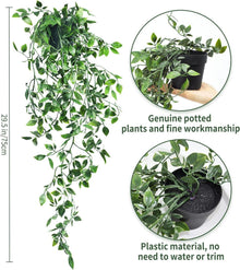 Künstliche Hängepflanze im Topf 75cm 2 Stück - Kunstpflanze