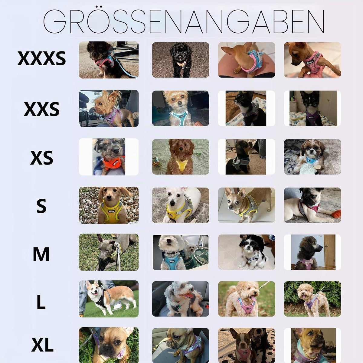 Burgund Welpengeschirr mit Leine – XXS Brustgeschirr
