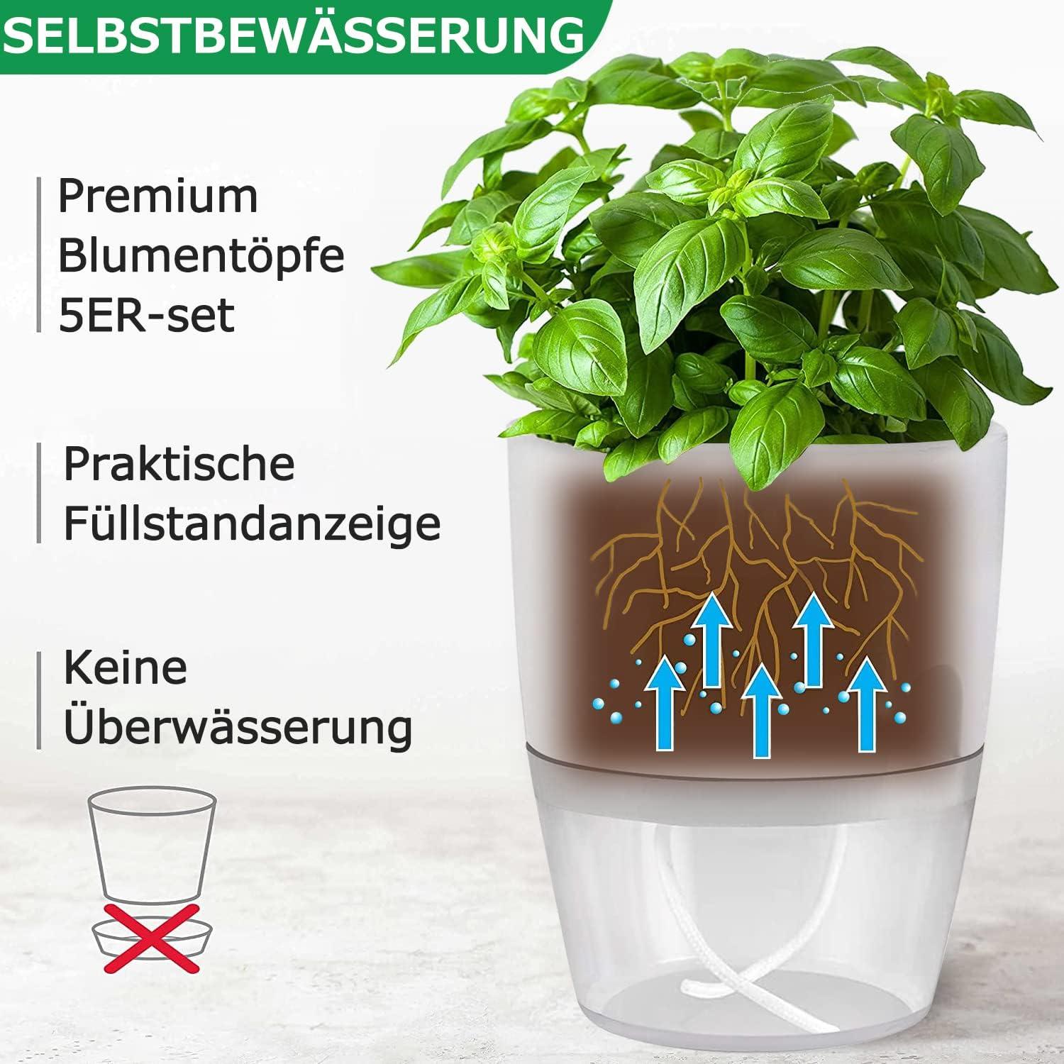 Selbstbewässernder Kräutertopf 6er Set Fensterbank