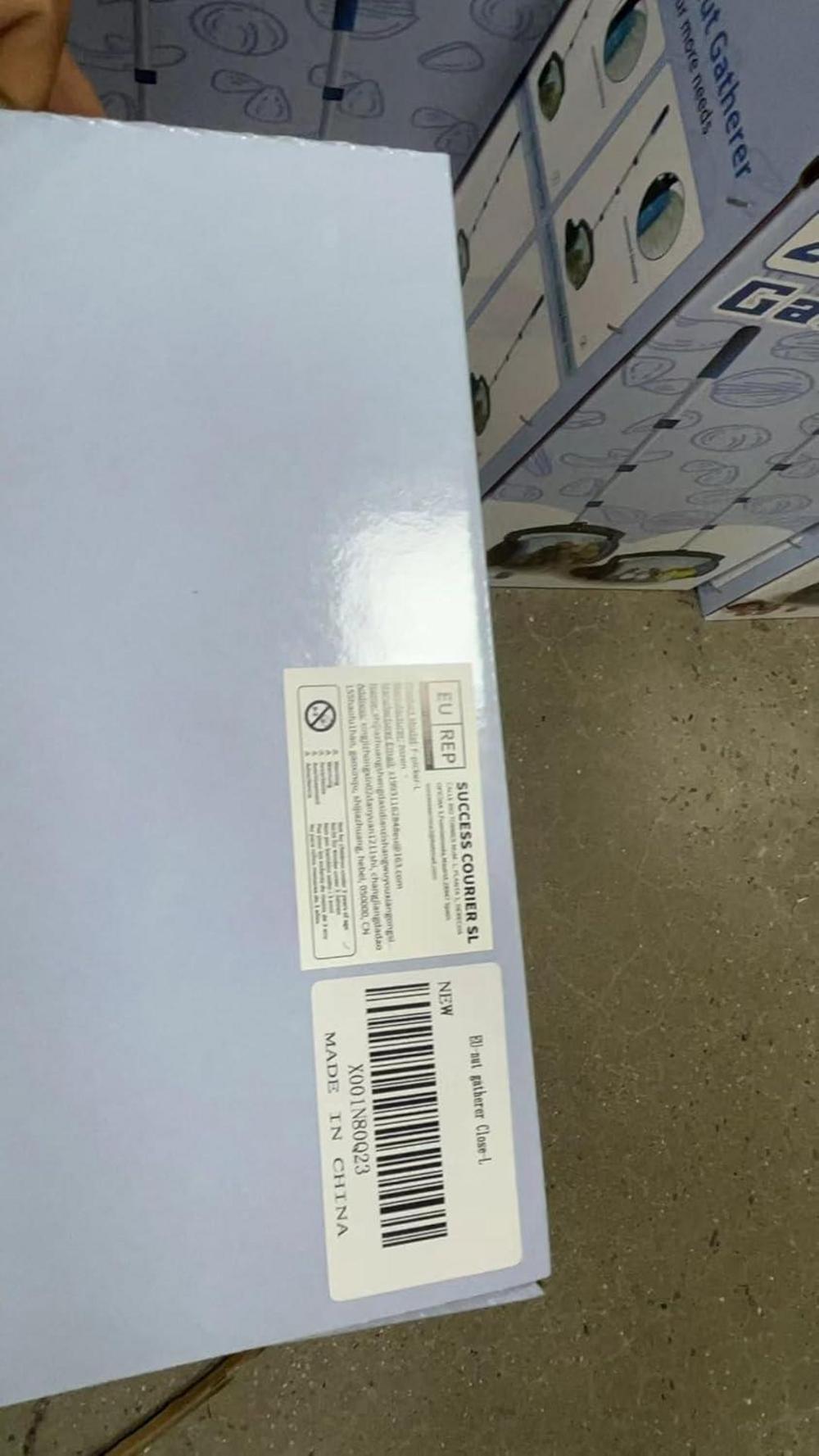 Nusssammler Walnuss Sammler für Hickory Kastanien Golfbälle