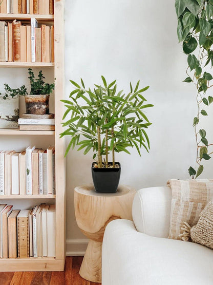 43CM Kunstpflanze Bambus Künstliche Pflanze Bonsai Zimmerpflanze Schwarz Keramiktopf