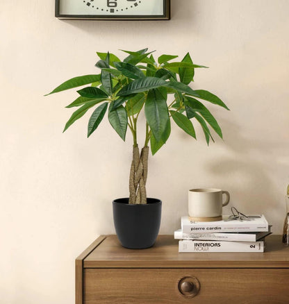 Kunstpflanze Glückskastanie 45CM Bonsai Topf Deko Zimmerpflanze