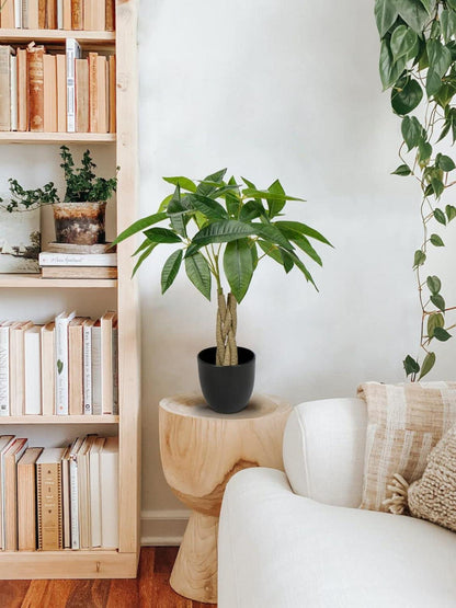 Kunstpflanze Pachira Aquatica 45CM Glückskastanie Bonsai Deko Topf