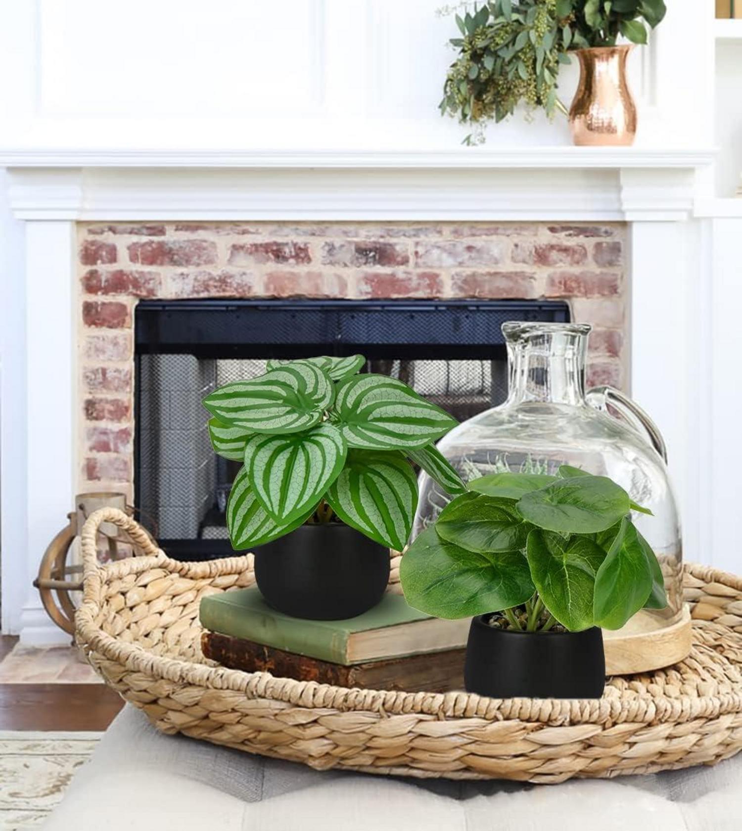 3er Set Künstliche Kunstpflanzen Deko Zimmerpflanzen ca. 15 cm