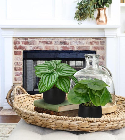 3er Set Künstliche Kunstpflanzen Deko Zimmerpflanzen ca. 15 cm