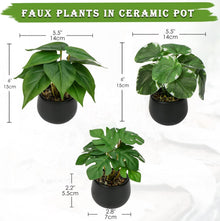 Briful 3er Set Kunstpflanzen Deko Zimmerpflanzen Wohnzimmer