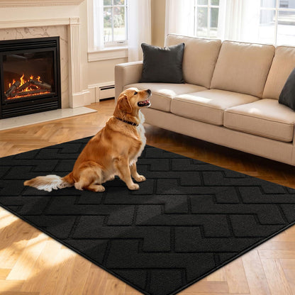 Fußmatte Innen Außen Waschbar – Rutschfest & Saugfähig 119x180cm Schwarz