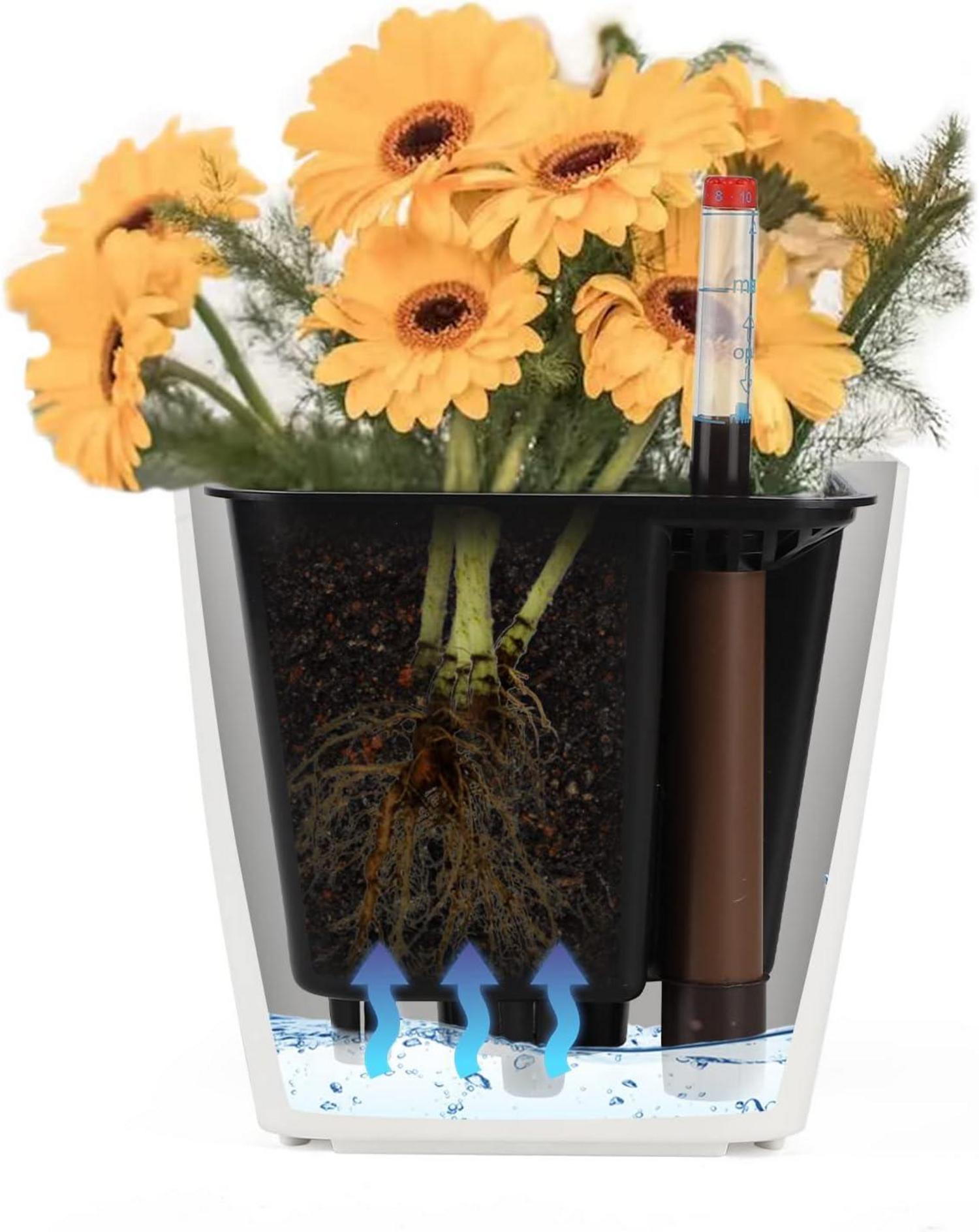 Selbstbewässerungstopf mit Wasserstandsanzeige und Topf-in-Topf System