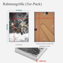 5er Set Weiß Bilderrahmen DIN 8 Plexi-Glas Portraitrahmen