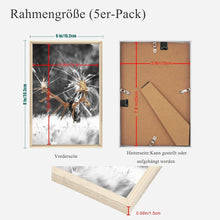 5er Set Fotorahmen DIN 8 Inches Plexi-Glas Eiche Holz
