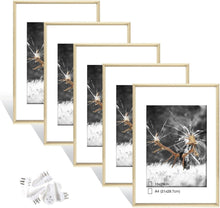 5er Set Fotorahmen Plexi-Glas A4 Portraitrahmen Wohnzimmer Portrait