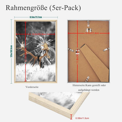 DIN A4 Bilderrahmen Plexi-Glas Portraitrahmen 5er Set Wohnzimmer Dekoration